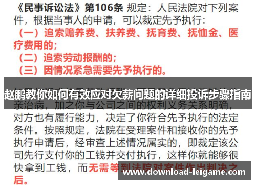 赵鹏教你如何有效应对欠薪问题的详细投诉步骤指南