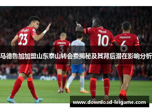 马德鲁加加盟山东泰山转会费揭秘及其背后潜在影响分析